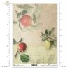 apples, fruit, twig, leaves, old inscriptions, retro, handwriting, old paper, letter, background, Äpfel, Apfel, Frucht, Zweig, Blätter, alte Inschriften, Retro, Handschrift, altes Papier, Brief, Hintergrund, manzanas, frutas, ramita